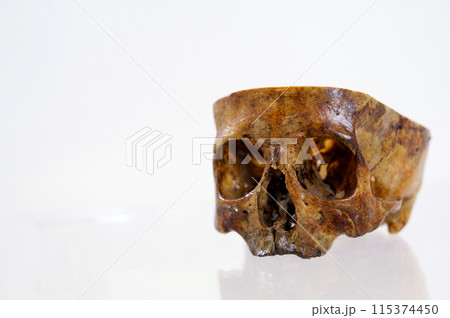 Human skull on isolated white background 115374450