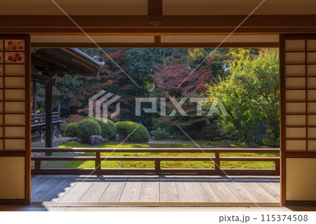 秋の京都　随心院　能の間から見える庭園 115374508