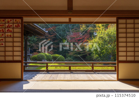 秋の京都　随心院　能の間から見える庭園 115374510
