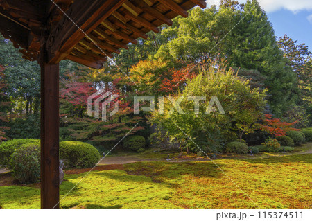 秋の京都　随心院　本堂から見える庭園 115374511