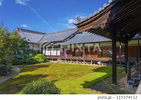 秋の京都 随心院 本堂から見える庭園・表書院 秋の京都 随心院 本堂から見える庭園・表書院 115374512