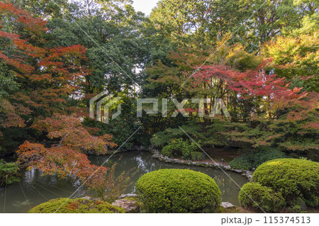 秋の京都　随心院　本堂前庭園 115374513
