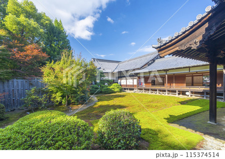 秋の京都 随心院 本堂から見える庭園・表書院 秋の京都 随心院 本堂から見える庭園・表書院 115374514