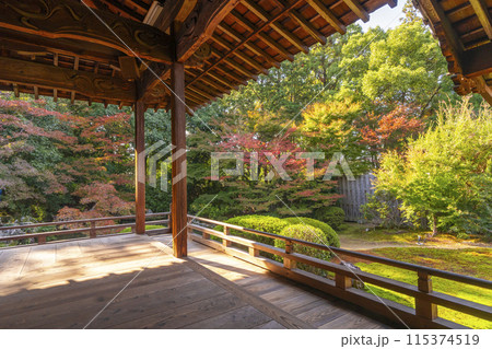 秋の京都　随心院　本堂前庭園 115374519