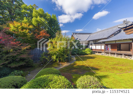 秋の京都　随心院　本堂から見える庭園・表書院 115374521