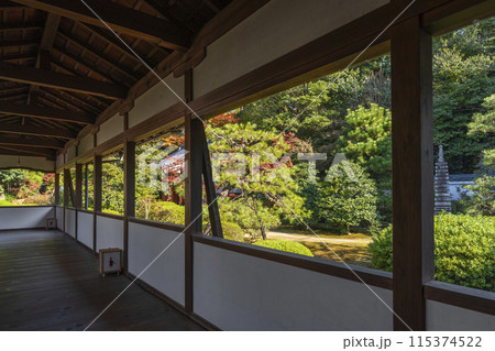 秋の京都　随心院　奥書院へ向かう廊下 115374522