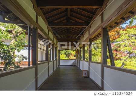 秋の京都　随心院　奥書院へ向かう廊下 115374524