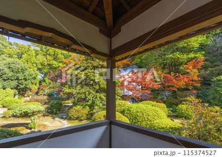 秋の京都 随心院 奥書院へ向かう廊下 秋の京都 随心院 奥書院へ向かう廊下 115374527