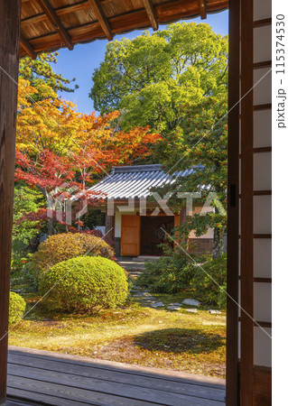 秋の京都　随心院　奥書院から見える小町堂 115374530