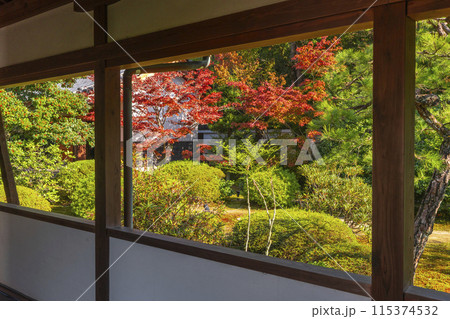 秋の京都 随心院 奥書院へ向かう廊下 秋の京都 随心院 奥書院へ向かう廊下 115374532
