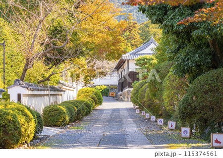 京都 随心院 参道 京都 随心院 参道 115374561