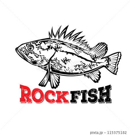 Rock fish vector illustration, perfect for fishing club logo and t shirt design Rock fish vector illustration, perfect for fishing club logo and t shirt design 115375182