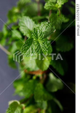Fresh organic mint on rustic black stone table background. Selective focus. 115376177