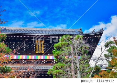 金戒光明寺　青空と山門と紅葉 115376417