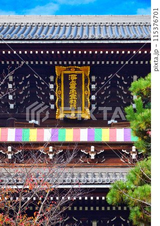 金戒光明寺　青空と山門と紅葉 115376701