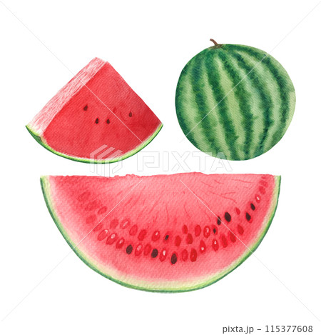 Watermelon whole, slice red and juicy with a few seeds. Watercolor set isolated on white background, hand drawn for food design. Packages, juice, smoothie, menu, organic food, ice cream label, logo 115377608