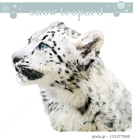 作家様 ユキヒョウ 雪豹 ヒョウ 絵画 水彩画 手描きイラスト 原画 一点もの 作家様 ユキヒョウ 雪豹 ヒョウ 絵画 水彩画 手描きイラスト
