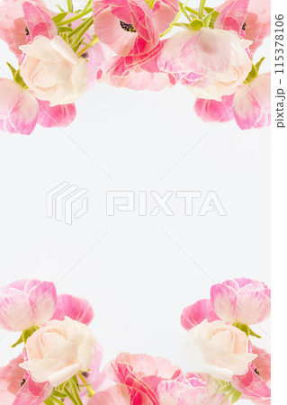 淡いピンクのラナンキュラスの素材 115378106