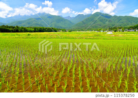 北杜市白州町白須より甲斐駒ヶ岳方面を望む(山梨県北杜市)【2024.6】 115378250