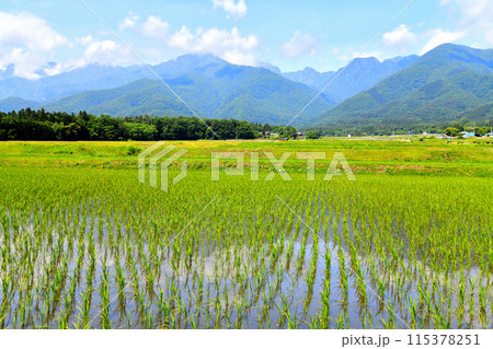 北杜市白州町白須より甲斐駒ヶ岳方面を望む(山梨県北杜市)【2024.6】 115378251