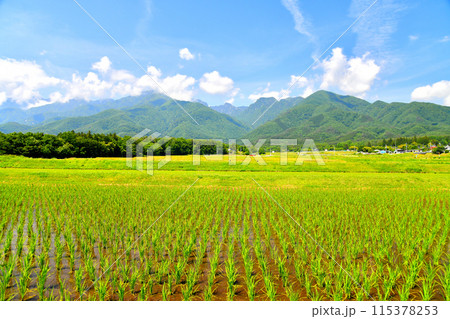 北杜市白州町白須より甲斐駒ヶ岳方面を望む(山梨県北杜市)【2024.6】 115378253