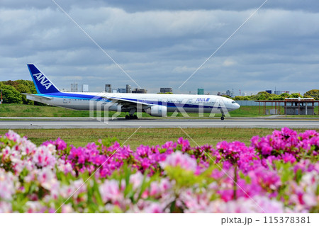 ANA77W伊丹タキシング 115378381