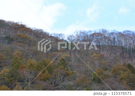 沼ッ原湿原　2023-10-23　＃140 115378571