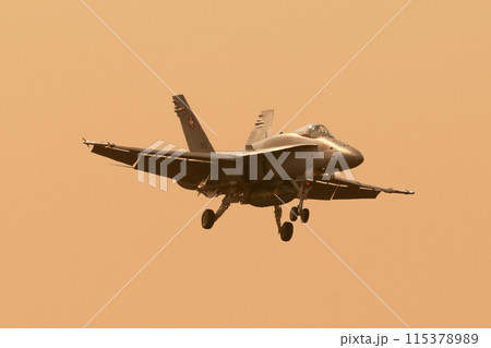 夕方に着陸するスイス空軍F/A-18Cホーネット 115378989