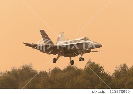 夕方に着陸するスイス空軍F/A-18Cホーネット 115378990