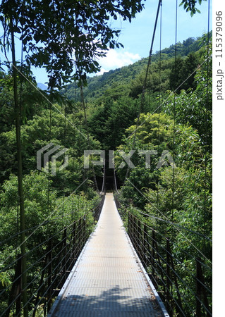道志渓谷久保吊り橋 115379096