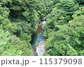 夏の道志川01 115379098