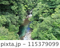 夏の道志川02 115379099