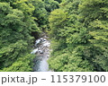 夏の道志川03 115379100