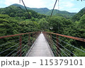 道志渓谷野原吊り橋02 115379101
