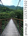 道志渓谷野原吊り橋03 115379102
