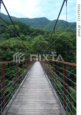 道志渓谷野原吊り橋03 115379102