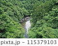 夏の道志川04 115379103