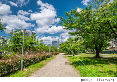 新緑の南天満公園　大阪市 115379574