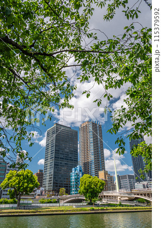 中之島公園と高層ビル　タワーマンション風景　大阪市 115379592