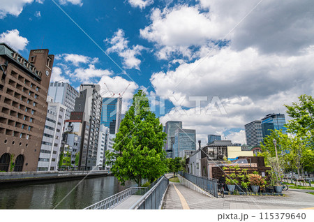 中之島公園と大阪市中心部のビル街 115379640
