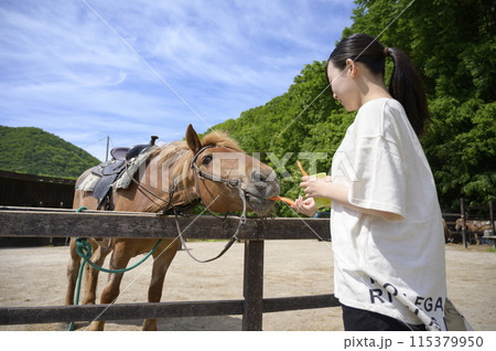 馬とふれあう女性 115379950