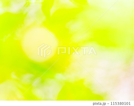 背景素材　水玉模様のリフレクション　明るいグリーン系 115380101
