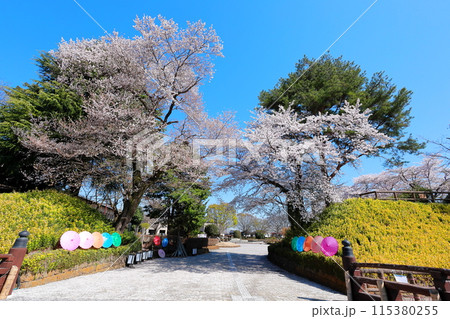 壬生町城址公園／栃木県壬生町 115380255