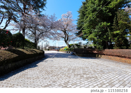 壬生町城址公園／栃木県壬生町 115380258