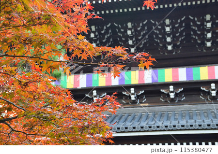 金戒光明寺 山門と美しい紅葉 金戒光明寺 山門と美しい紅葉 115380477