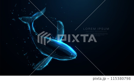 Top view Whale. Low polygonal, wireframe, linear and mesh illustration 115380798