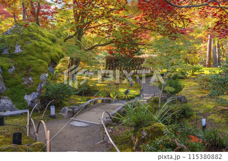 秋の京都　宝厳院　獅子吼の庭 115380882