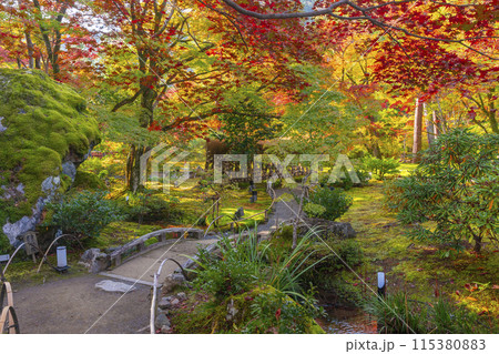 秋の京都 宝厳院 獅子吼の庭 秋の京都 宝厳院 獅子吼の庭 115380883