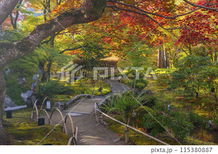 秋の京都　宝厳院　獅子吼の庭 115380887