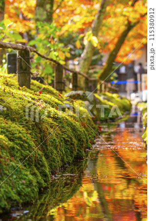 秋の京都　宝厳院　紅葉のトンネルと玄関門 115380912